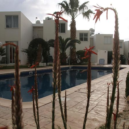 Evros Peyia & Coral Bay Seaview Apartment 외부 사진